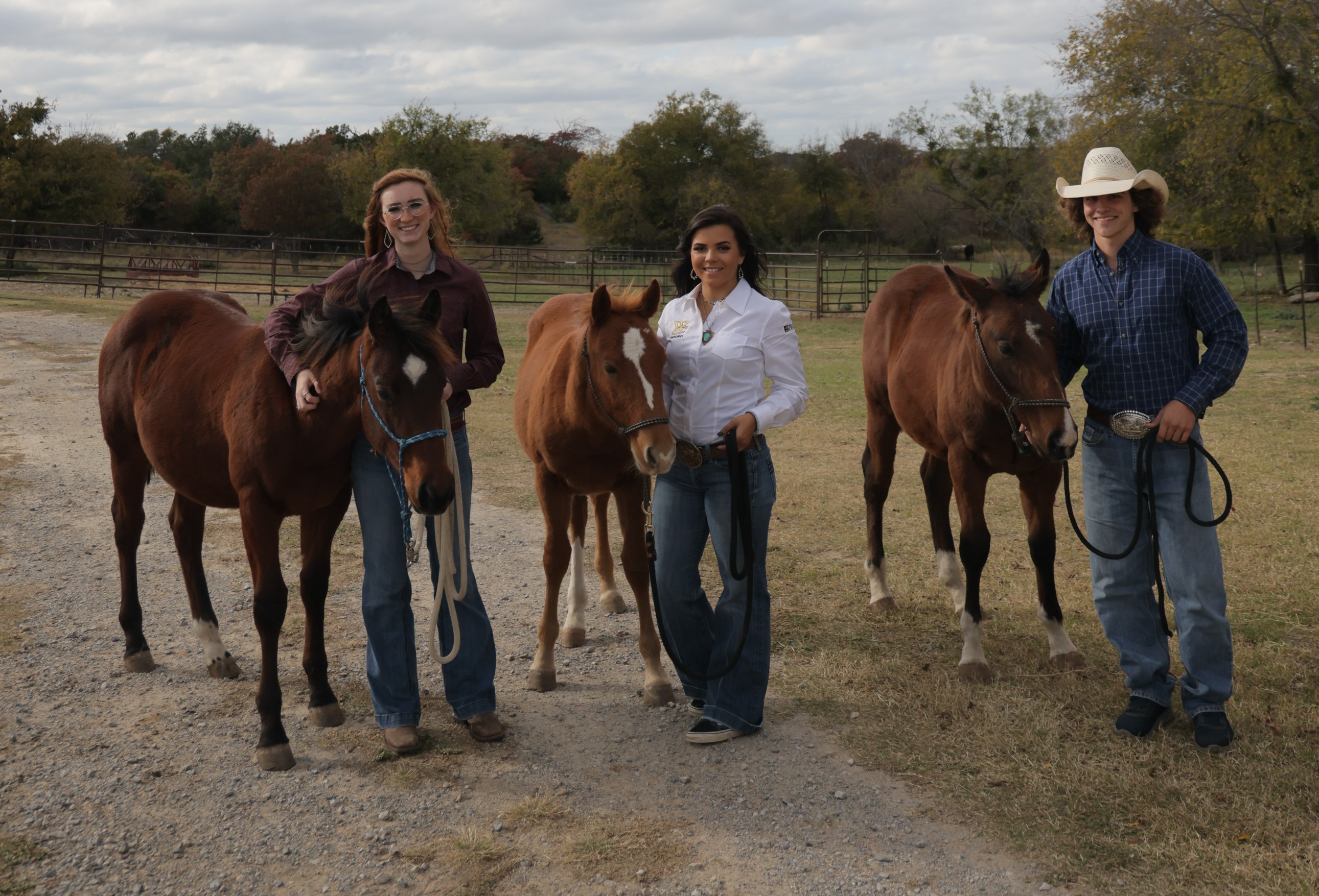Equine Production and Management
